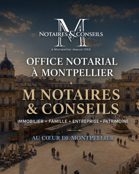 Charles Vallat et Julien Lecaillon Notaires Associes